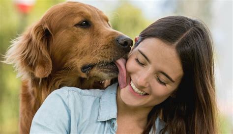 mujeres follando con perros|Rubia se deja coger por su perro por primera vez